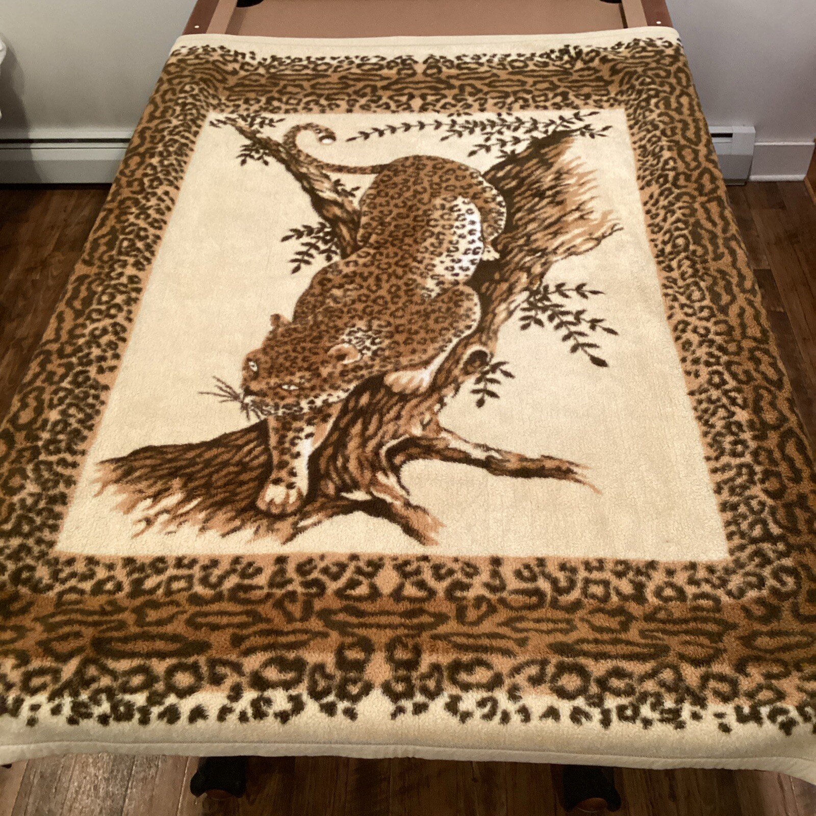 Picture 2 of 5