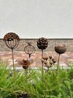 Set of 6 Rustic Metal Exotic Flowers, Garden Decorations, Handmade Sculptures