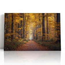 Golden Forest Canvas Print Wall Art – Autumn Pathway In Warm Fall Light Decor
