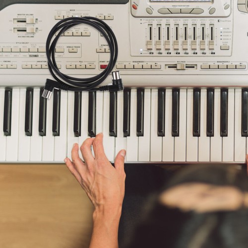 2 Pcs Doppelte Männliche Verbindungskabel Professionelles Instrumentenkabel - Bild 10 von 12