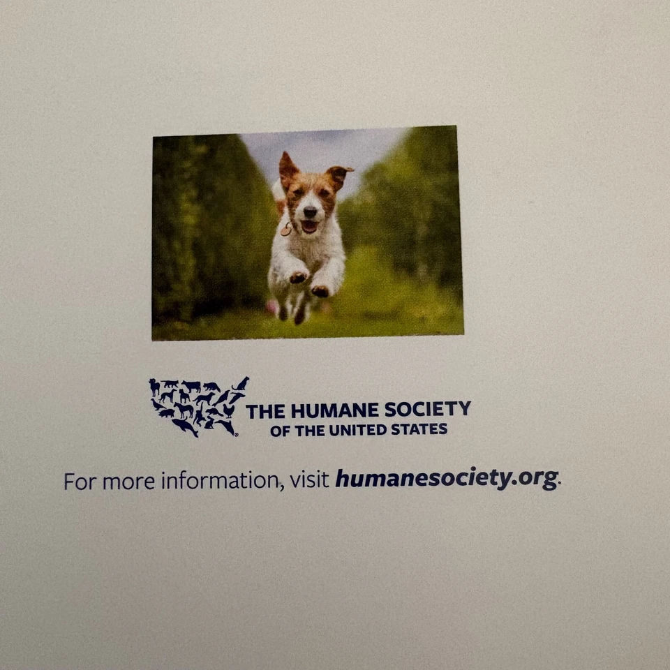 Tarjeta en blanco con sobre mensaje de amigos y familiares para perros corriendo Foto 3 de 4