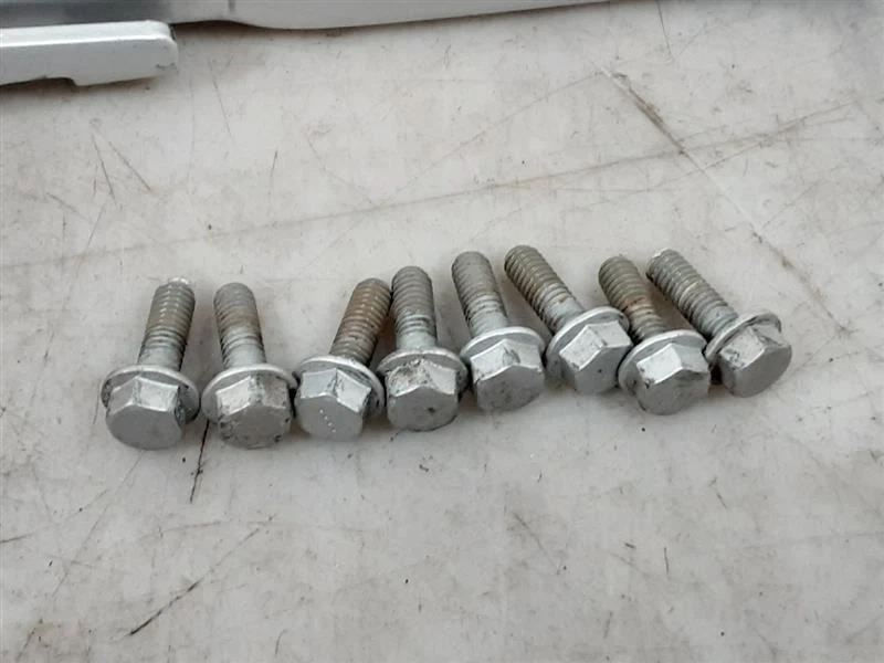 Juego de bisagras para puerta trasera Jeep TJ Wrangler OEM PYH amarillo solar 2004 2005 2006 89145 Foto 2 de 4