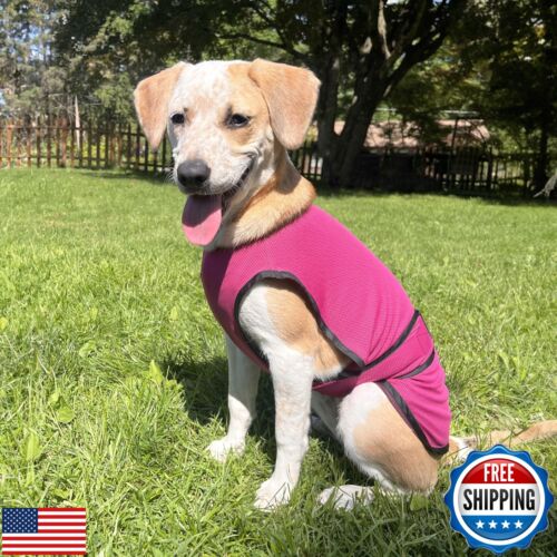 DOGZSTUFF Dog Cooling Vest. Lightweight Jacket with Evaporative Cool Microfib - Picture 2 of 5