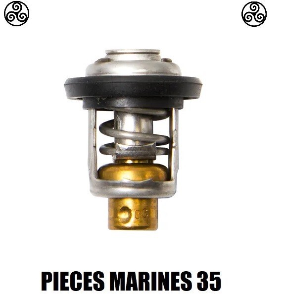 Thermostat 66M-12411-01 de qualité supérieure pour Yamaha 4T