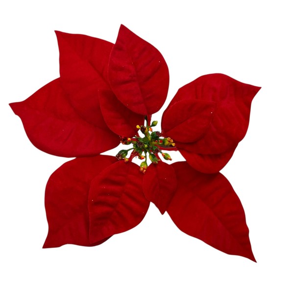 Weihnachtsstern Mit Spange Rot Ø Ca. 22 Cm Weihnachten Weihnachtsdeko-image