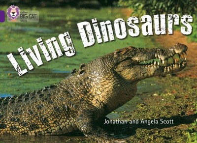 Living Dinosaurs : Band 08/Purple Paperback Angela, Scott, Jonath