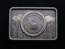 RF01124 VINTAGE 1970s  NRA WHITTINGTON CENTER  BRASSTONE BELT BUCKLE