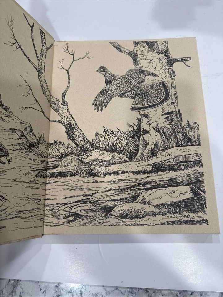 The Wind on Your Cheek by William J. Schaldach Hardcover 1972 Freshet Press - Image 4 of 4