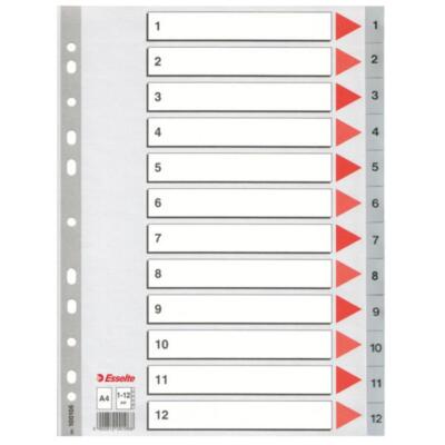 5902812001068 Przekładka A4 PP  1-12 numeryczna ESSELTE 100106 ESSELTE