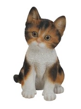 Pet Pals Tortoiseshell Kitten Highly Detailed Frost Resistant Resin Ornament