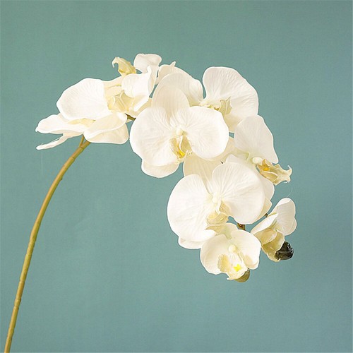 4 Bunch Latex Real Touch Artificial White Butterfly Orchids Flower For Home - Picture 56 of 68