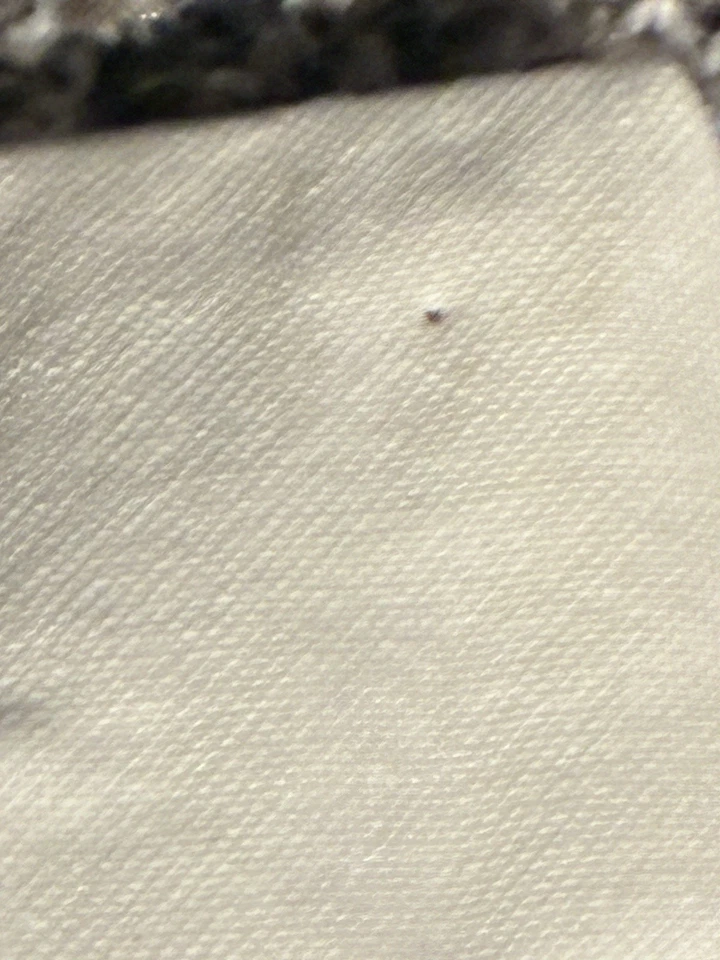 2 fundas de almohada decorativas de cerámica concha de mar de granero 20x20 playa náutica Nautilus Foto 4 de 4