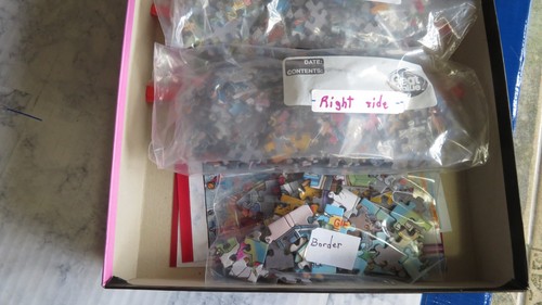 Jumbo WASGIJ 1000 Piece Destiny Puzzle #22 "Trip To The Top" Year 2020 - Picture 5 of 11