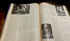 Foto 9 di 9