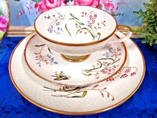 Germany tea cup and saucer trio Butterfly wild flowers  teacup German