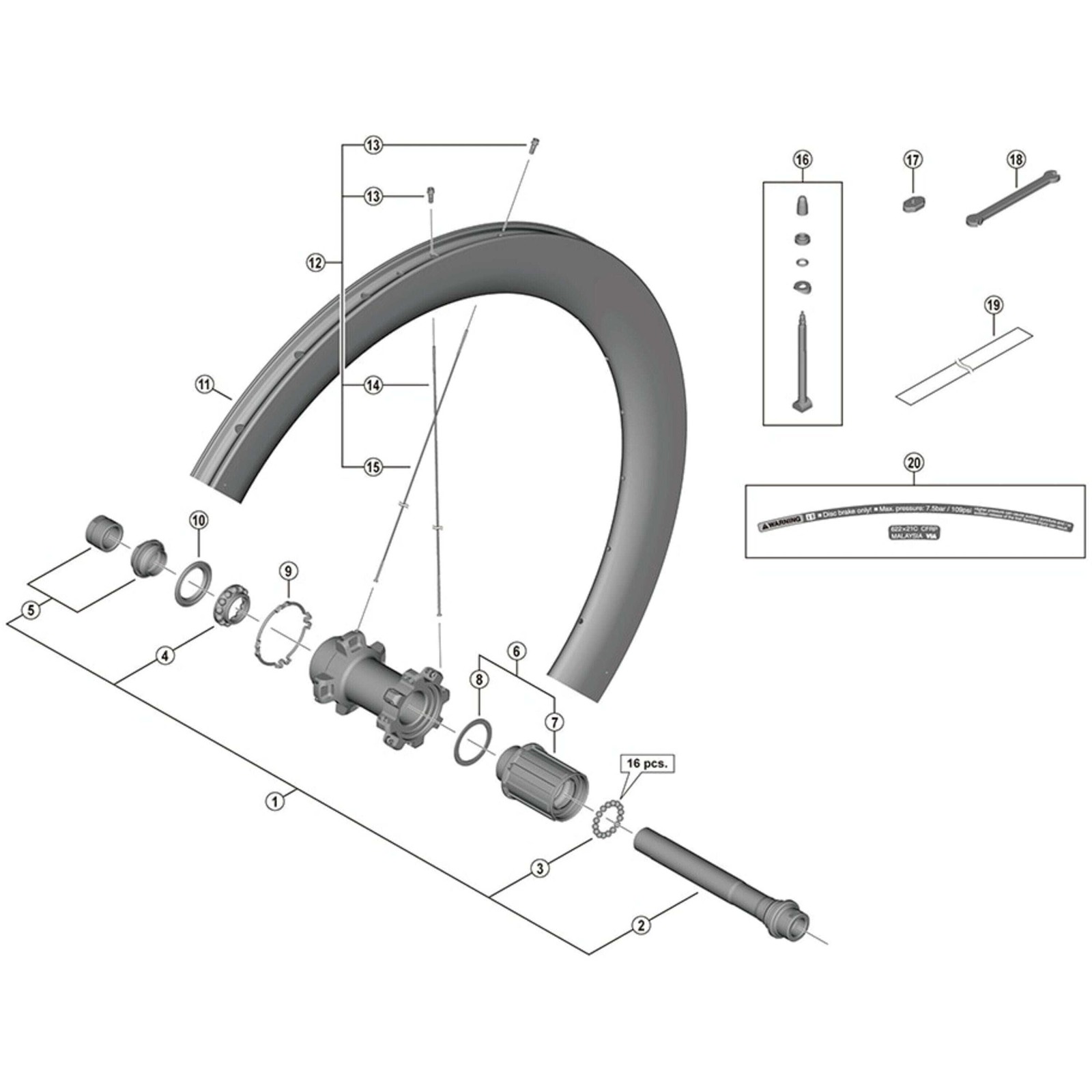 Shimano Spares WH-R8170-C60-TL-R left hand spoke, 244 mm