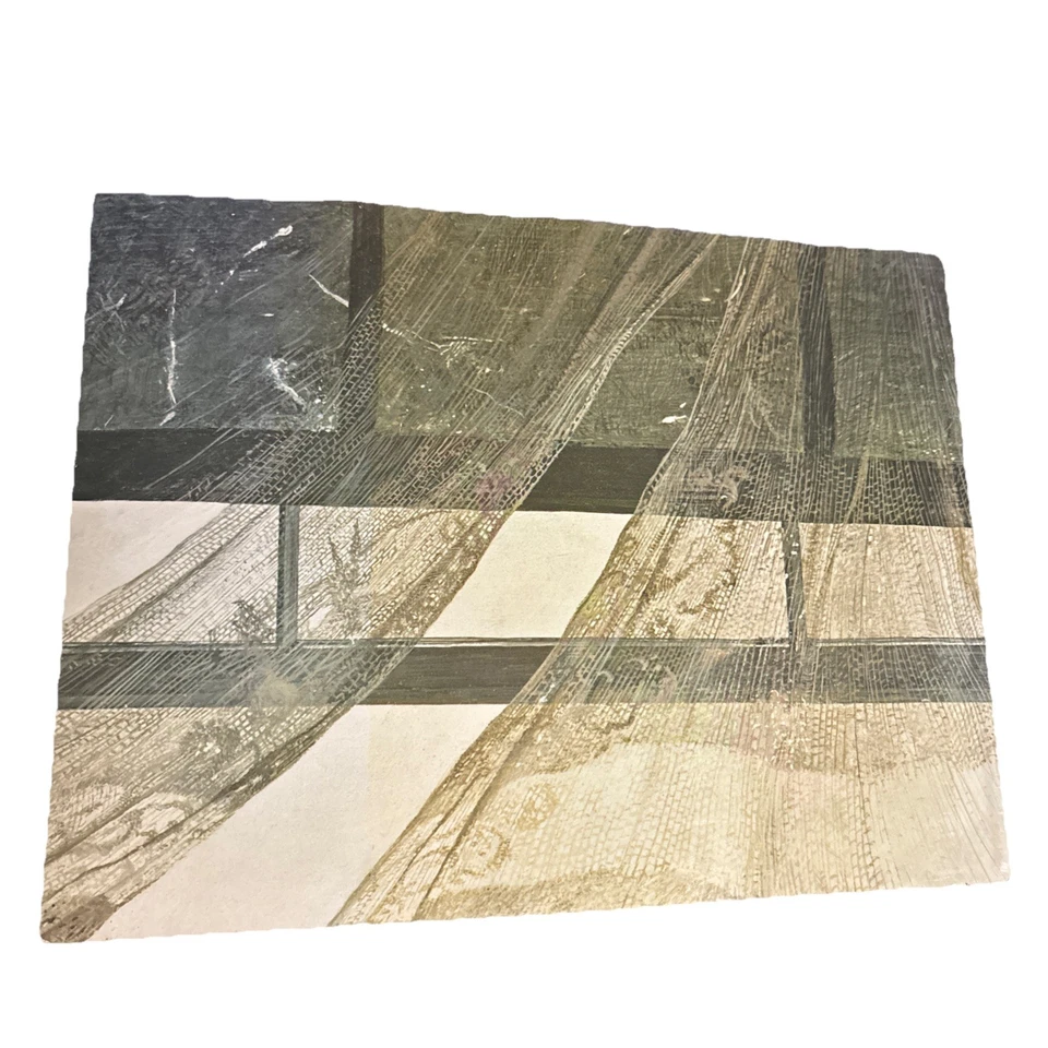 The Art of Andrew Wyeth 1973 First Edition HC/DJ Wanda M. Corn 1st Ed. — 第 2/2 张图片