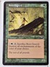 Root Greevil - Planeshift - Magic the Gathering MTG Nice!