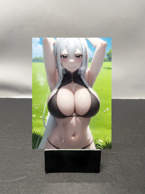Echidna Re:Zero Waifu Anime Custom Art Trading Card w319