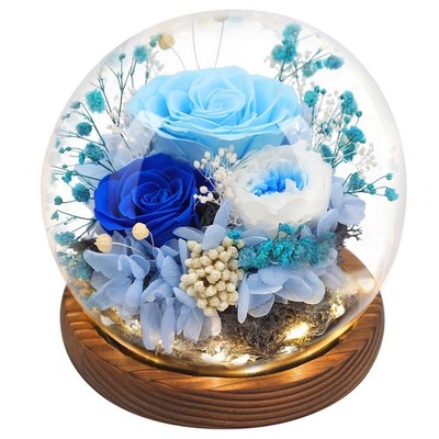 Eyesofspring Preserved Flowers,Rose in Glass Dome with LED Light, Gifts for Her,