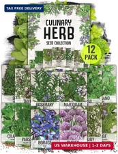 Seed Needs Herb Seeds Variety Pack Culinary Herb Collection 12 Individual Packe