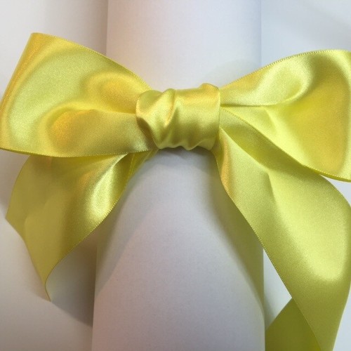 BRIDE Wedding Dress Travel Box · Choice of ribbon · Diamante Brooch on Handle - Picture 21 of 39