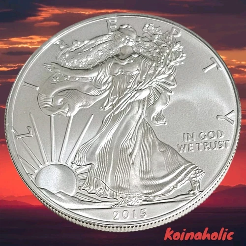 2015 $1 American Silver Eagle 1 oz .999  Brilliant Uncirculated Fast Ship 🚢