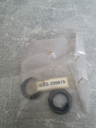 Briggs Stratton Simmerring 2 Stück 299819 - Picture 2 of 2