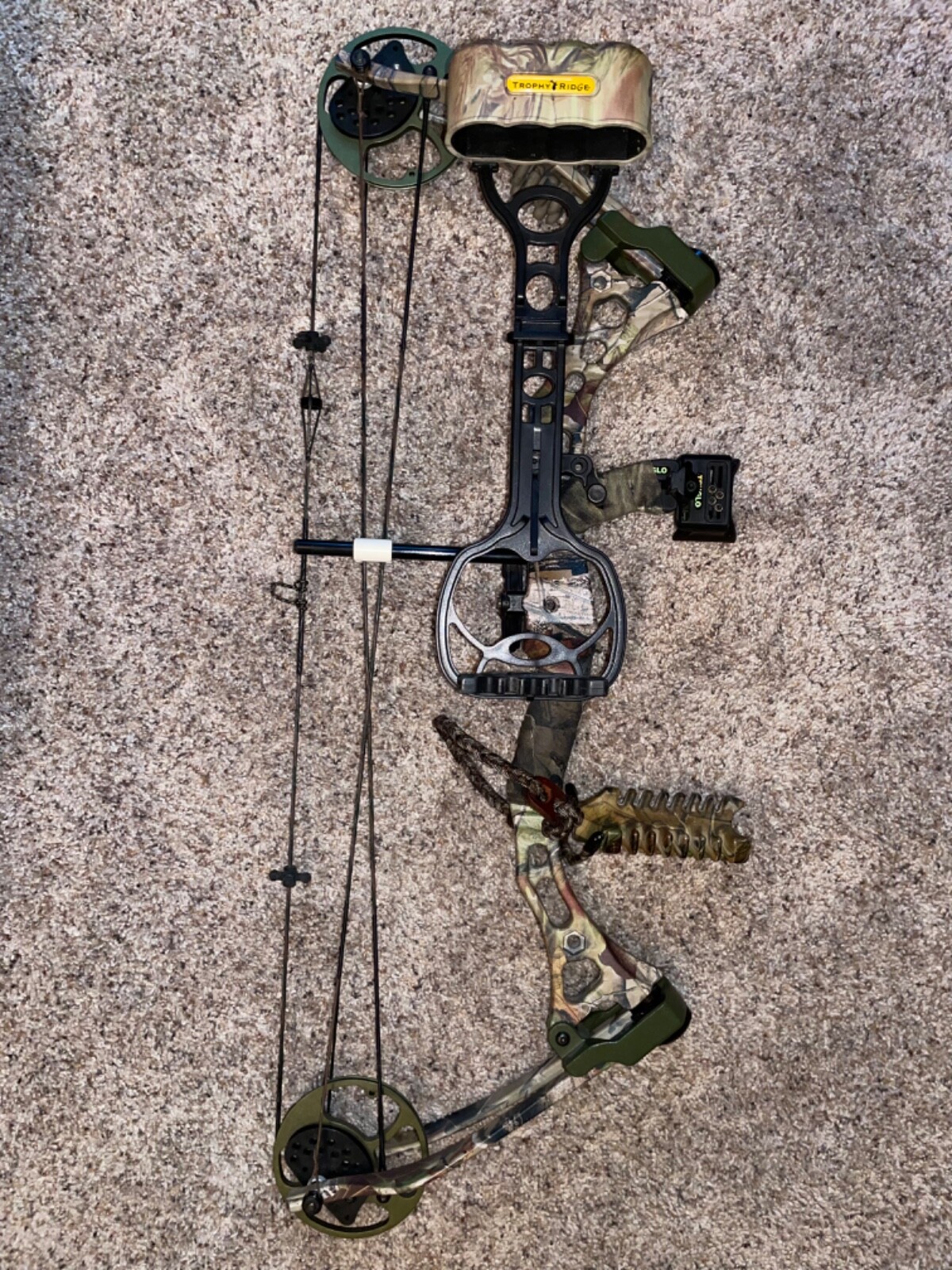 Bear Apprentice 2 Compound Bow, Youth/Young Adult eBay