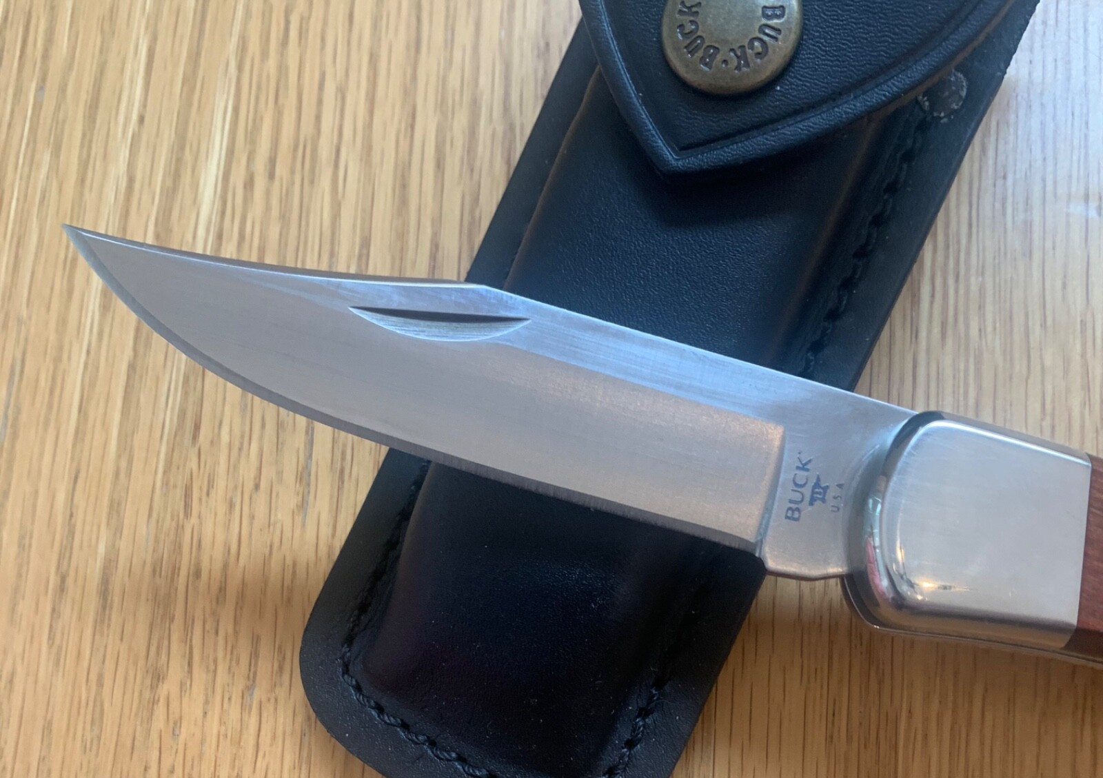 BUCK 110 D2 KNIFE NEVER USED N21 | eBay