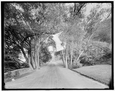 Willow Arch,Berkshire roadway,Stockbridge,Massachusetts,Detroit Publishing,1900