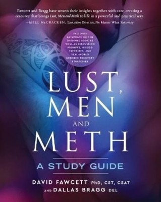 David M Fawcett Dallas Bragg Lust, Men and Meth (Paperback)