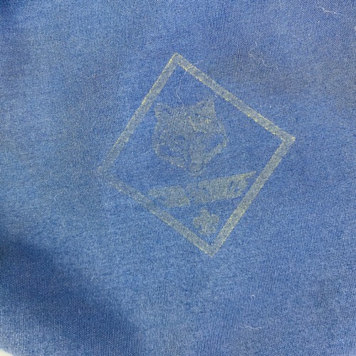 Vintage offizielle Cub Scout Kantine Campingausrüstung blau/rostfrei Behälter - Bild 3 von 8