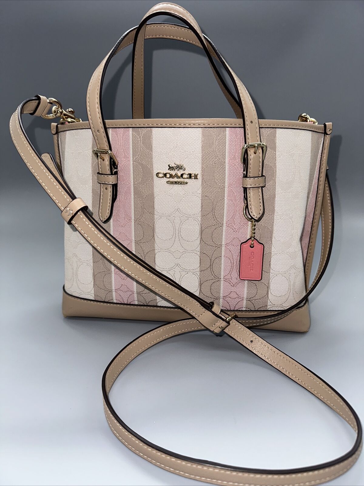 COACH®  Mollie Tote 25 In Straw