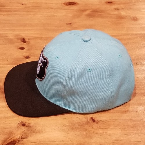 Memphis Grizzlies Hat Cap Snapback Blue Mitchell & Ness NBA Basketball - 第 2/9 張圖片