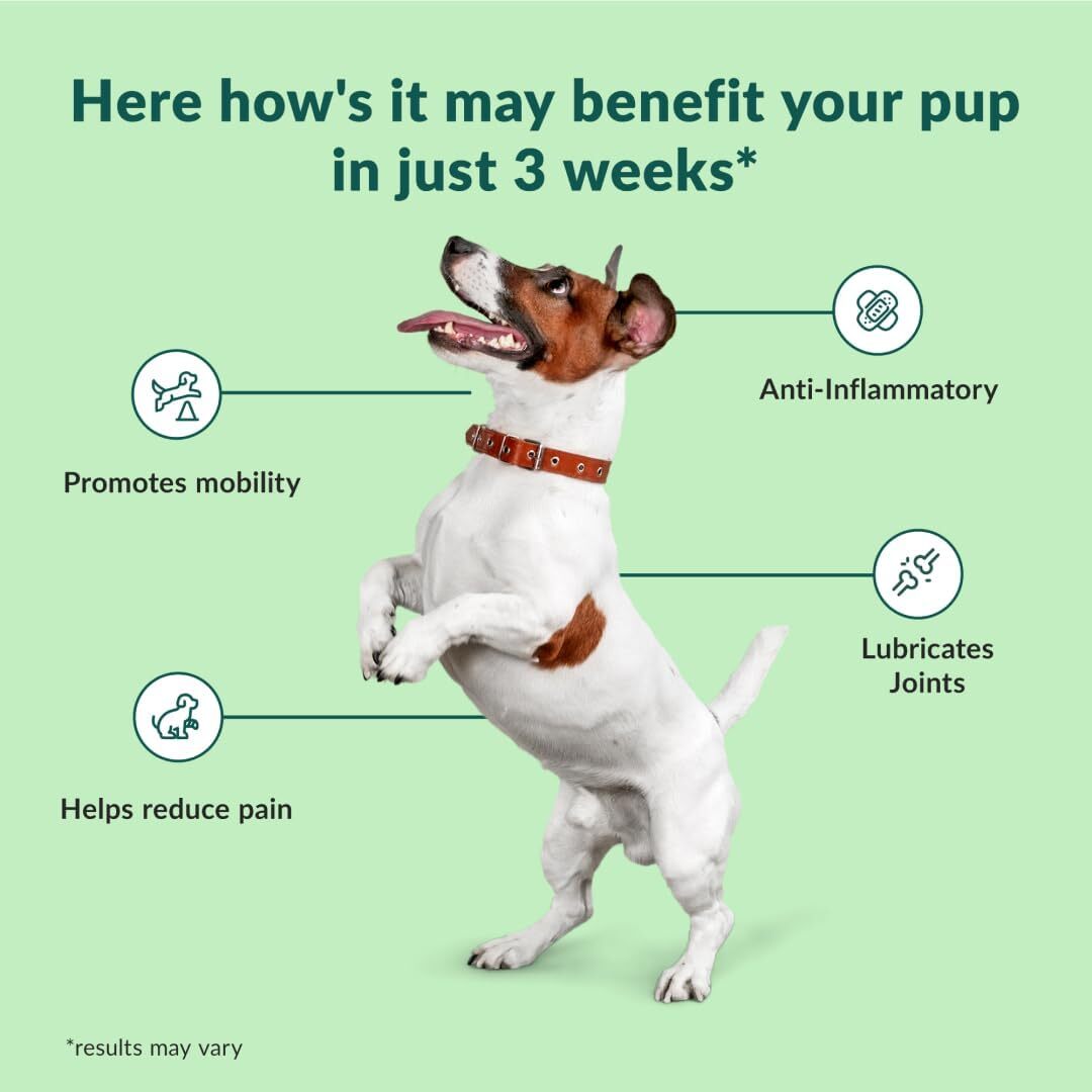 Wuffes Chewable Dog Hip and Joint Supplement for Small & Medium Breeds