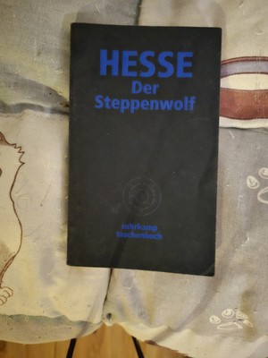 Der Steppenwolf (von Hermann Hesse)