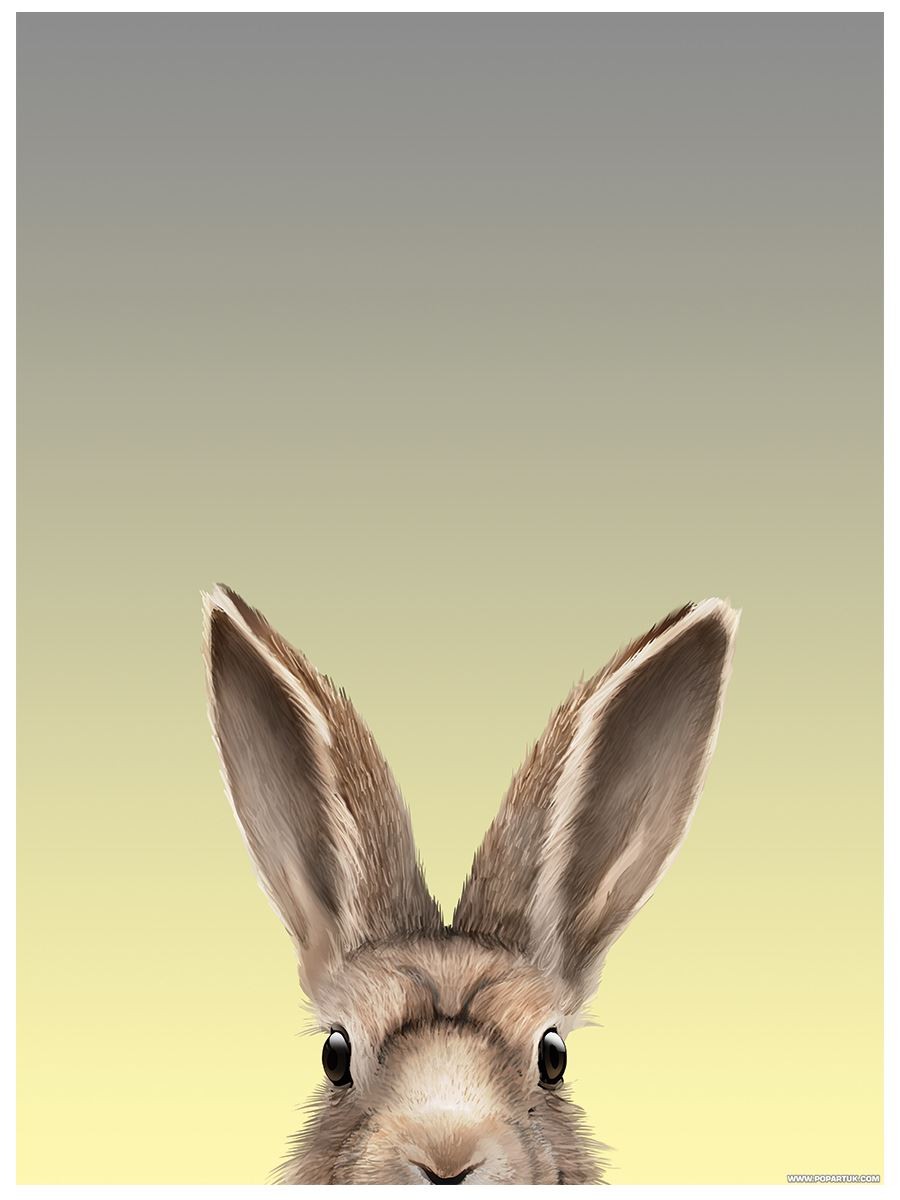 Laminated Inquisitive Creatures Hare Mini Poster