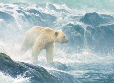 Cobble Hill Salmon Watch - Spirit Bear 500 Piece Jigsaw Puzzle