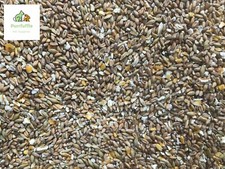 DOVE FOOD MIX 20kg Wild Bird Pigeon Wheat Barley Rapeseed Maize Red Dari Linseed