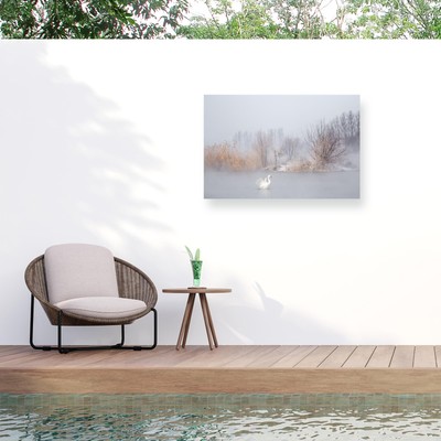 Outdoor Canvas Art - Uu 'The Winter Swan' Wall Art for Outdoor Spaces, Patios...