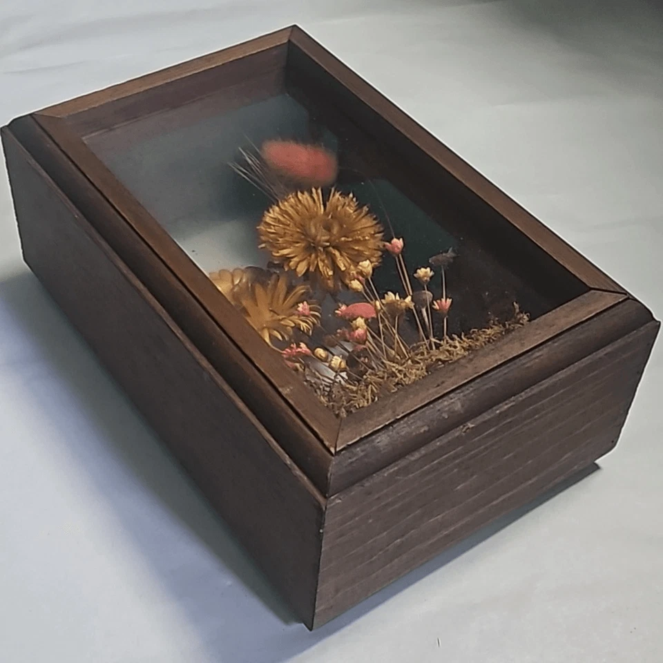 Caja de sombra vintage MCM 60s flor silvestre seca enmarcada arte único en su clase Foto 3 de 4