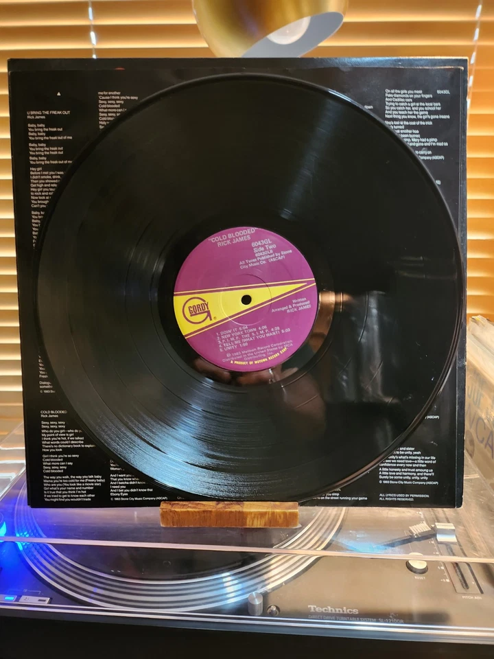 Rick James, Cold Blooded, 1983 1st Gordy, 6043GL, VG+/VG+ Foto 4 de 4