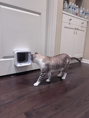 SureFlap Microchip Cat or Small Sized Dog Door Connect One Way or Two Way Entry