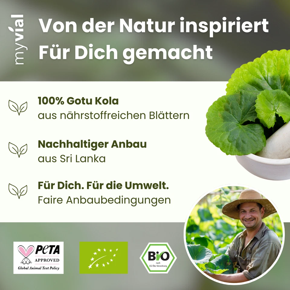 Organic Gotu Kola Capsules 120 Count - 100% Pure & Plastic Free - Direct from Sri Lanka - Image 2 of 4