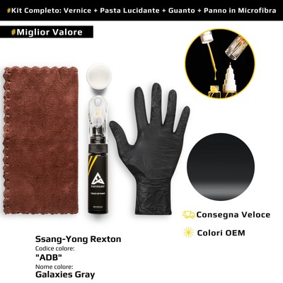 Touch Up Paint for SsangYong Rexton Kit ADB Galaxies Gray