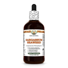 Sargassum seaweed (Sargassaceae Phaeophyceae) Glycerite, Algae Liquid Extract