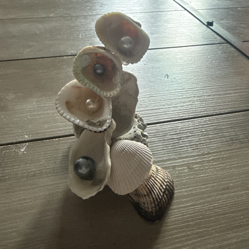 Decorative Shell Piece