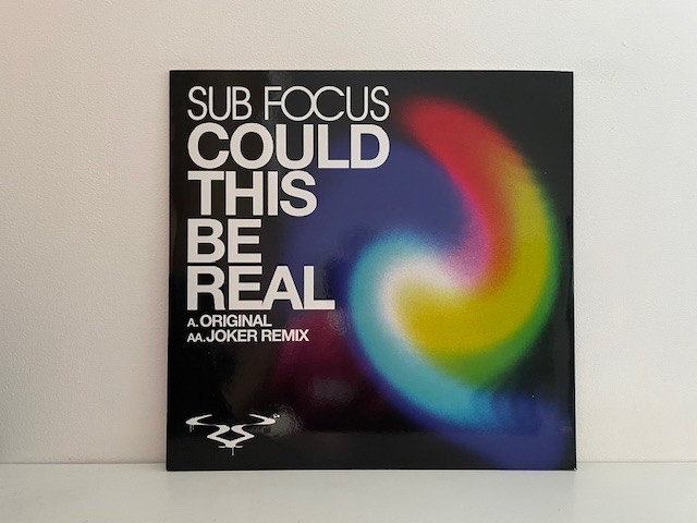 Could This Be Real Vinyl