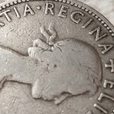 Elizabeth II Florin Two Shillings Coin 1956 Great Britain Excellent quality.